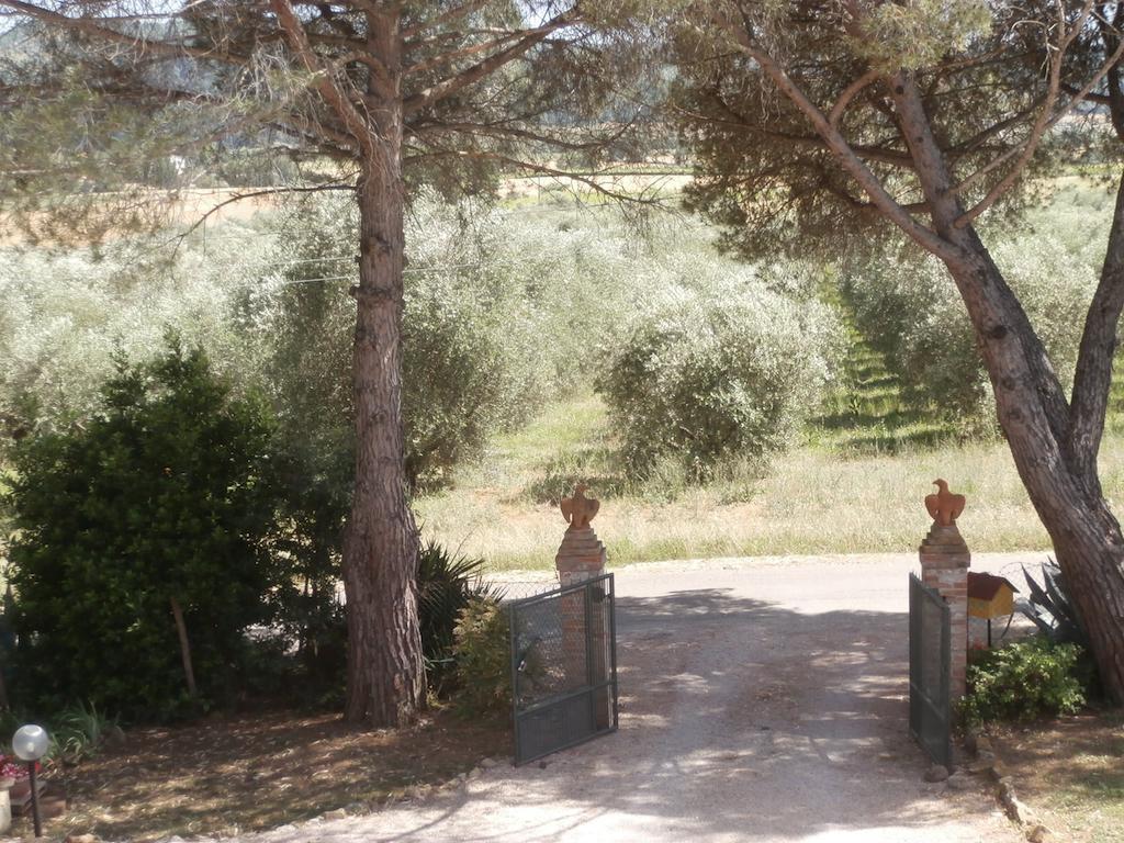 Agriturismo Poggio Sassineri Villa Magliano in Toscana Luaran gambar